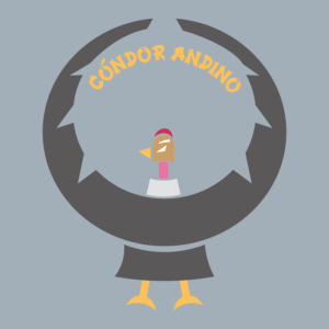 01 Condor Andino del Ecuador